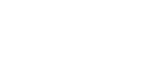 CVS Logo